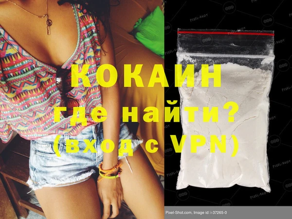 соль ск Новозыбков